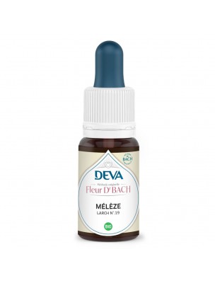 Image de Mélèze Bio - Confiance en soi Élixir Floral de Bach 15 ml - Deva depuis Résultats de recherche pour "15 ml brown gla"