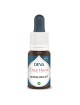 Menthe pouliot Bio - Protection et Clarté mentale Elixir floral 15 ml - Deva