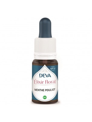 Image de Menthe pouliot Bio - Protection et Clarté mentale Elixir floral 15 ml - Deva depuis Achetez les produits Deva à l'herboristerie Louis