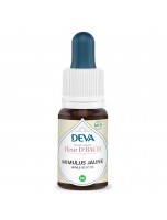 Image de Mimulus jaune Bio - Courage et Confiance Élixir Floral de Bach 15 ml - Deva depuis 38 Fleurs de Bach unitaires - Commandez en ligne ! (2)