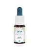 Saule Bio - Acceptation de ses responsabilités Élixir Floral de Bach 15 ml - Deva