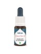 Coquelicot de Californie Bio - Pondération et Ecoute intérieure Elixir floral 15 ml - Deva