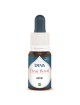 Ortie Bio Unité familiale et Apaisement Elixir floral 15ml Deva