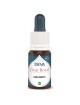 Edelweiss - Bio Don de soi et Lucidité Elixir floral 15 ml - Deva
