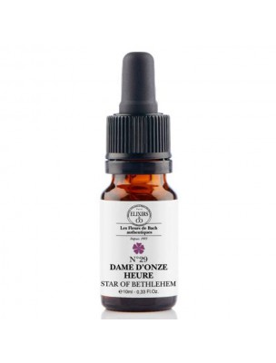 Image de Dame d'onze heure (Star of Bethlehem) N°29 Bio Choc et Chagrin Fleurs de Bach 10 ml - Elixirs and Co depuis Résultats de recherche pour "Braid of White "