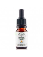 Image de Marronnier blanc (White Chestnut) N°35 Bio - Calme Mental Fleurs de Bach 10 ml - Elixirs and Co depuis 38 Fleurs de Bach unitaires - Commandez en ligne ! (2)