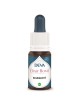 Bourrache Bio - Courage et Confiance Elixir floral 15 ml - Deva