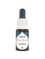 Image de Bourrache Bio - Courage et Confiance Elixir floral 15 ml - Deva depuis Elixirs floraux unitaires de Deva - Remèdes naturels pour vos émotions