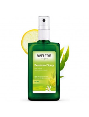Image de Citrus Deodorant - Naturally Fresh 100 ml - Weleda depuis Natural solid and liquid deodorant for protection without irritation