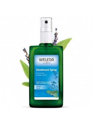 Image de Déodorant Sauge - Naturel et Aromatique 100 ml - Weleda depuis Résultats de recherche pour "Thym Bio - Resp"