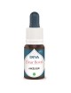 Angélique Bio - Assistance Elixir floral 15 ml - Deva