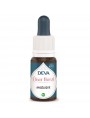 Image de Angélique Bio - Assistance Elixir floral 15 ml - Deva via Acheter Ajonc Bio - Espoir et Force de la volonté Elixir Floral de Bach