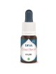 Epilobe Bio - Régénération et Purification Elixir floral 15 ml - Deva