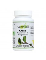 Image de Cassis Bourgeon Bio - Articulations 60 gélules végétales - Vit'all+ depuis Découvrez nos bourgeons unitaires naturels pour un bien-être complet (2)