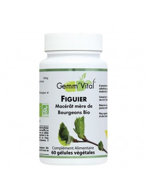 Image de Fig Tree Bud Organic - Stress and Digestion 60 vegetarian capsules - Vit'all depuis The buds in case of stress