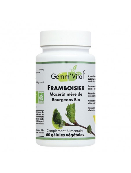 Image principale de Framboisier Bourgeon Bio - Troubles Féminins 60 gélules végétales - Vit'all+