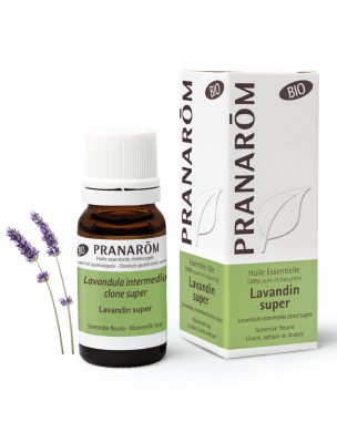 Image de Lavandin Super Bio - Huile Essentielle de Lavandula intermedia clone super 10 ml - Pranarôm depuis Résultats de recherche pour "capsules-pranarom-immunite"