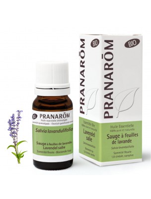 Image de Sauge à feuilles de lavande Bio - Huiles essentielles de Salvia lavandulifolia 10 ml - Pranarôm depuis Résultats de recherche pour "Lavande Bio - P"