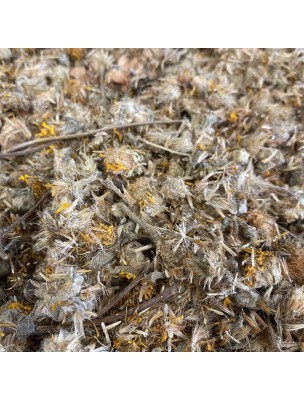 Image de Arnica (Heteroteca) - Capitule Floral 50g - Tisane d'Heteroteca inuloides depuis louis-herboristerie