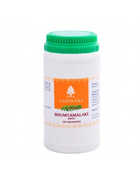 Image principale de Bhumyamalaki plante poudre - Digestion et Respiration 100g - Samskara