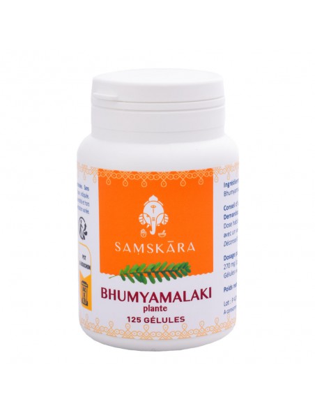 Image principale de Bhumyamalaki plante - Digestion et Respiration 125 gélules - Samskara