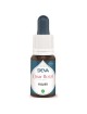 Figuier Bio - Lucidité et Contrôle de soi Elixir floral 15 ml - Deva