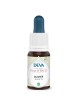 Olivier Bio - Régénération et Vitalité Élixir Floral de Bach 15 ml - Deva