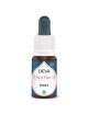 Erable Bio - Vitalité, Dynamisme et Fluidité Elixir floral 15 ml - Deva
