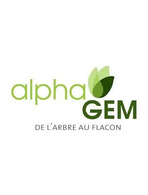 Mélèze Macérat de bourgeons Bio - Larix decidua 50 ml - Alphagem