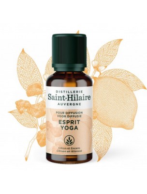 Image de Esprit Yoga Bio - Synergy to Diffuse 30 ml - De Saint-Hilaire depuis Synergies of relaxing essential oils