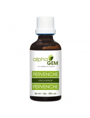 Image de Pervenche Macérat de bourgeons Bio - Vinca minor 50 ml - Alphagem depuis Résultats de recherche pour "Extrait de Prop"