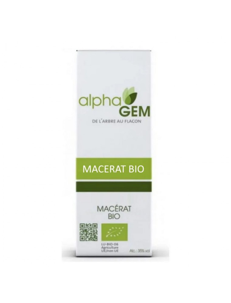 Image principale de la modale pour Aulne Blanc Macérat de bourgeons Bio - Alnus incana 50 ml - Alphagem