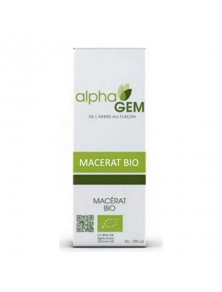 Image principale de Aulne Blanc Macérat de bourgeons Bio - Alnus incana 50 ml - Alphagem