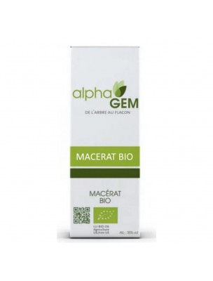 Image de Maïs Macérat de radicelles Bio - Zea mays 50 ml - Alphagem depuis Achetez les produits AlphaGEM à l'herboristerie Louis (3)