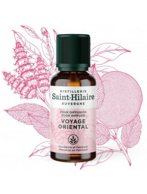 Image de Voyage Oriental Bio - Synergie à Diffuser 30 ml - De Saint-Hilaire depuis Commandez les produits De Saint-Hilaire à l'herboristerie Louis