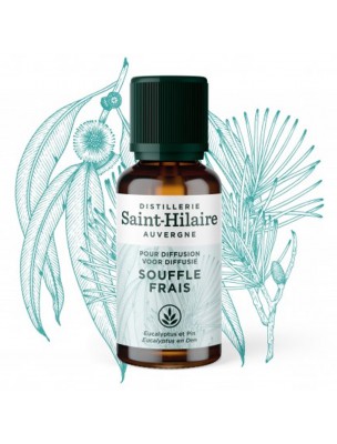 Image de Souffle Frais Bio - Synergie à Diffuser 30 ml - De Saint-Hilaire depuis Synergies d'huiles essentielles pour l'immunité