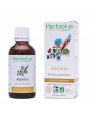 Image de Absinthe (Grande absinthe) Bio - Estomac et Vermifuge Teinture-mère Artemisia absinthium 50 ml - Herbiolys via Acheter Camomille romaine (noble) Bio - Huile essentielle Chamaemelum