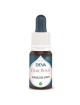 Gueule de loup Bio - Expression verbale harmonieuse Elixir floral 15 ml - Deva