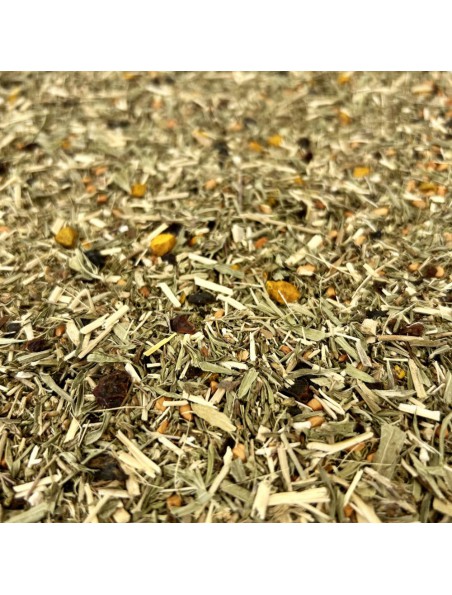 Achetez Tisane Vitalité N°4 Anti-oxydante - Mélange de plantes - 90 grammes à l'herboristerie Louis Image principale de Tisane Vitalité N°4 Anti-oxydante - Mélange de plantes - 90 grammes