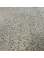 Image de Psyllium blond (Ispaghul) Bio - Tégument coupé 300g - Tisane de Plantago ovata depuis Psyllium : Trouvez votre équilibre grâce à la phytothérapie