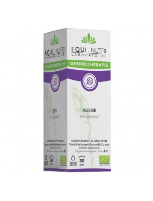 Image de Alder Bud Macerate Organic - Circulation and Respiration 30 ml - Equi-Nutri depuis Buy your buds and your Gemmotherapy here