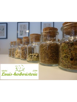 https://www.louis-herboristerie.com/6542-home_default/geranium-anis-encens-vegetal-30-batonnets-les-encens-du-monde.jpg