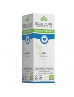 Image de Gui Macérât de Bourgeon Bio - Circulation 30 ml - Equi-Nutri depuis Bourgeons de gemmothérapie unitaires, en complexes, en gommes ou sans alcool. (7)