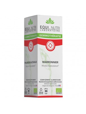 Image de Marronnier Macérât de Bourgeon Bio - Circulation 30 ml - Equi-Nutri depuis Achetez les produits Equi-Nutri à l'herboristerie Louis (2)