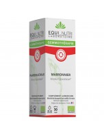 Image de Marronnier Macérât de Bourgeon Bio - Circulation 30 ml - Equi-Nutri depuis Découvrez nos bourgeons unitaires naturels pour un bien-être complet (4)