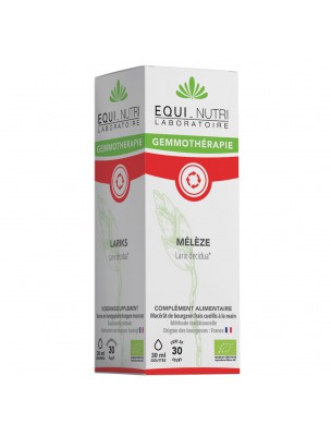 Image de Mélèze Macérât de Bourgeon Bio - Circulation 30 ml - Equi-Nutri depuis Commandez les produits Equi-Nutri à l'herboristerie Louis