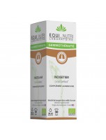Image de Noisetier Macérât de Bourgeon Bio - Circulation et Respiration 30 ml - Equi-Nutri depuis Découvrez nos bourgeons unitaires naturels pour un bien-être complet (4)