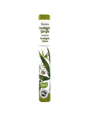 Eucalyptus Clove - Plant incense 30 sticks - Les Encens du Monde