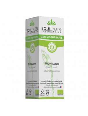 Image de Prunellier Macérât de Jeune Pousse Bio - Détox et Immunité 30 ml - Equi-Nutri depuis Commandez les produits Equi-Nutri à l'herboristerie Louis