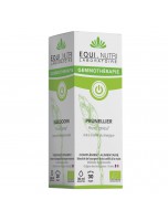 Image de Prunellier Macérât de Jeune Pousse Bio - Détox et Immunité 30 ml - Equi-Nutri depuis Découvrez nos bourgeons unitaires naturels pour un bien-être complet (5)